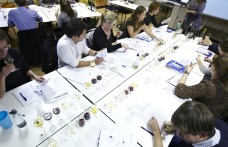 Becoming a Master of Wine in Italy