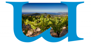 Mediterranean viticulture described by a local writer or an expert on the area