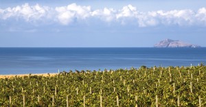 Mediterranean wines embraced by the sea