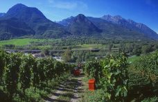A weekend in Valle d’Aosta among wineries and castles