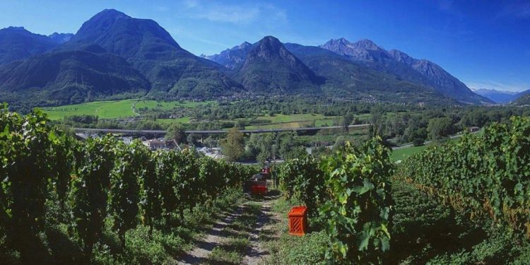 A weekend in Valle d’Aosta among wineries and castles