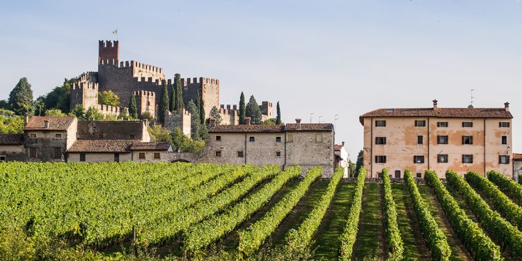 Soave also has its crus: the additional geographic units