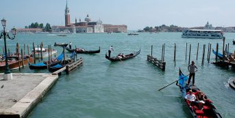 Pinot Grigio delle Venezie: the first national conference
