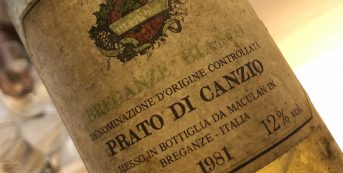 Prato di Canzio, Maculan’s “rediscovered wine”