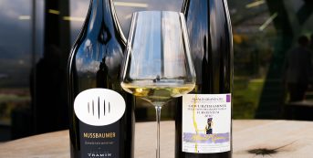 Alto Adige meets Alsace at the home of Gewürztraminer